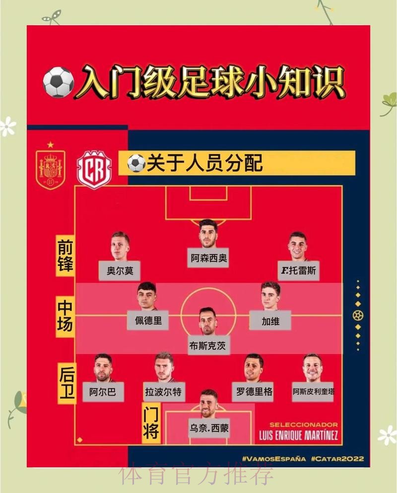 官方揭秘：全面解读世界杯比分教程