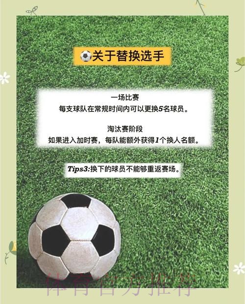官方揭秘：全面解读世界杯比分教程